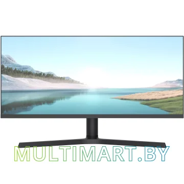 Игровой монитор NPC MZ300L